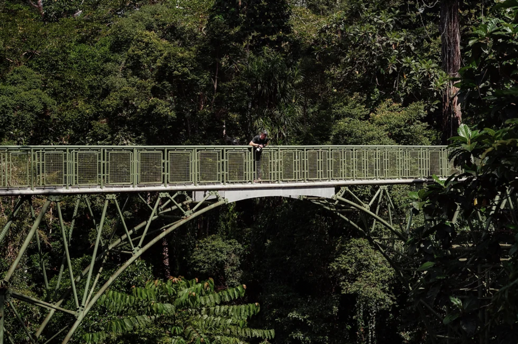 Sabah's longest canopy walk