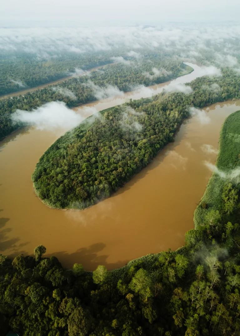 Aerial view at dawn of a wide muddy river winding through unbroken Bornean rainforest with mist over the canopy