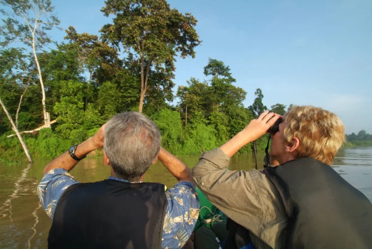 Three birdwatchers with binoculars raised in a small covered river boat scanning riverbank trees at dawn