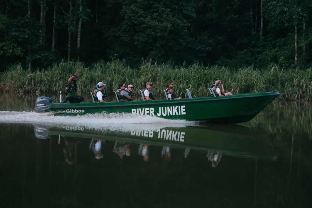 Guests on a River Junkie boat cruising the Kinabatangan