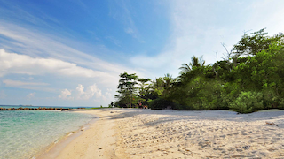 beach at turtle island off the coast of sandakan