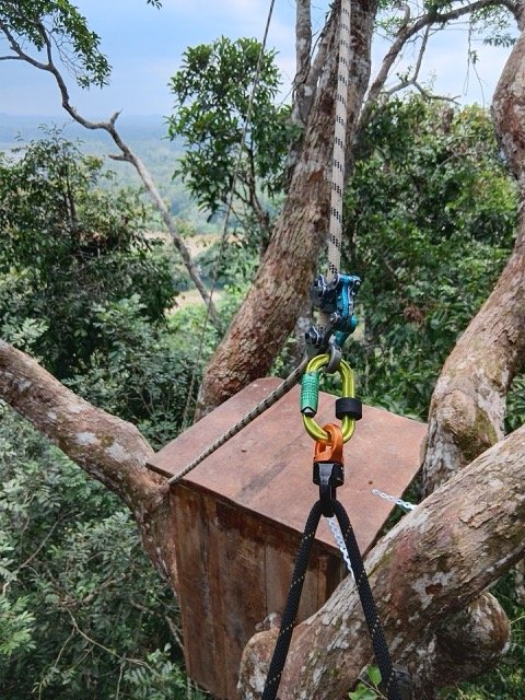 What are nest boxes and why install them at Hornbill Lodge?
